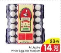 Al Madina Al Jazira White Egg 30s Medium offer