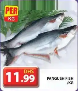 Grand Hyper Market PANGUSH FISH /KG offer
