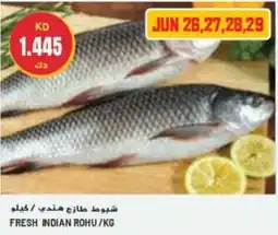 Grand Mall Sharjah FRESH INDIAN ROHU / KG offer