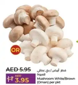 Lulu Hypermarket Mushroom White / Brown per pkt offer