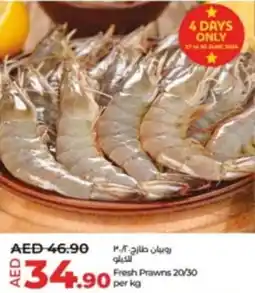 Lulu Hypermarket Fresh Prawns 20/30 per kg offer