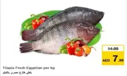 Nesto Tilapia Fresh Egyptian per kg offer