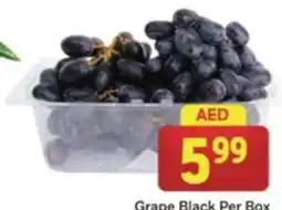 City Retail Supermarket Grape Black Per Box offer