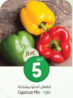 Safari Hypermarket Capsicum Mix 1 pkt offer