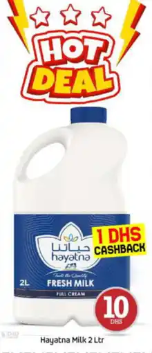 Bigmart Hayatna Milk 2 Ltr offer