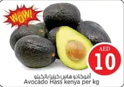 Nesto Avocado Hass kenya per kg offer