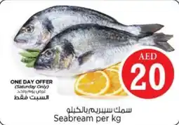 Nesto Seabream per kg offer