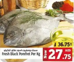 Kenz Hypermarket Fresh Black Pomfret Per Kg offer