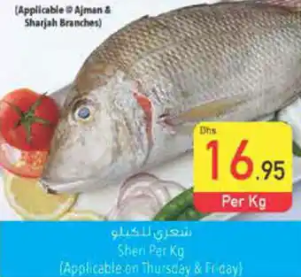 Safeer Market Sheri per kg offer