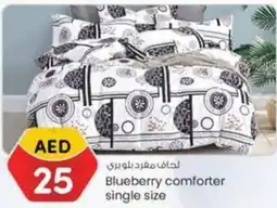 KM Trading Blueberry comforter single size offer