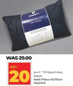 Lulu Hypermarket Mesh Pillow 45x70cm Assorted offer
