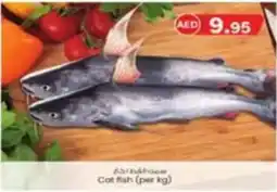 KM Trading cat fish per kg offer