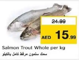 Nesto Salmon Trout Whole per kg offer