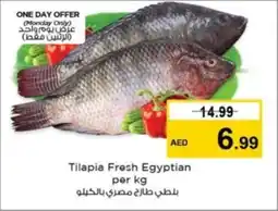 Nesto Tilapia Fresh Egyptian per kg offer
