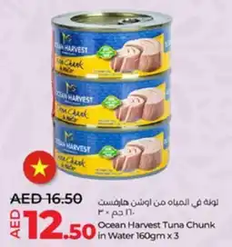 Lulu Hypermarket Ocean Harvest Tuna Chunk in Water 160gm x3 offer
