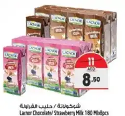 Safari Hypermarket Lacnor Chocolate/Strawberry Milk 180 Mix8pcs offer