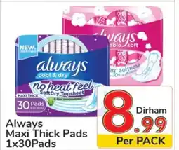 Day To Day Always Maxi Thick Pads 1 x 30Pads offer