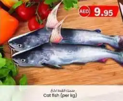 KM Trading Cat fish per kg offer