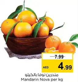 Nesto Mandarin Nova per kg offer