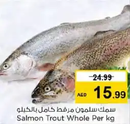 Nesto Salmon Trout Whole Per kg offer