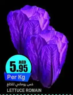 Almaya supermarket LETTUCE Per Kg offer