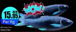 Almaya supermarket ROHU FISH Per Kg offer