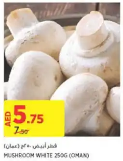 Aswaaq MUSHROOM WHITE 250G offer