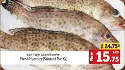 Kenz Hypermarket Fresh Hamour (Suman) Per Kg offer