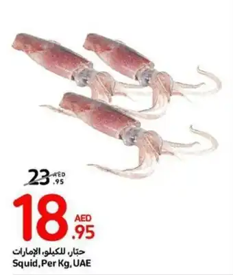 Carrefour Squid, Per Kg offer