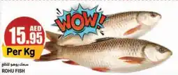 Almaya supermarket ROHU FISH Per Kg offer