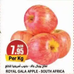 Almaya supermarket ROYAL GALA APPLE Per Kg offer