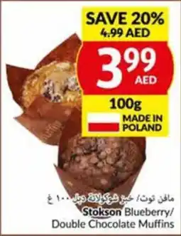 Viva Stokson Blueberry/ Double Chocolate Muffins 100g offer