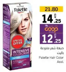 Palette Hair Color Asst.