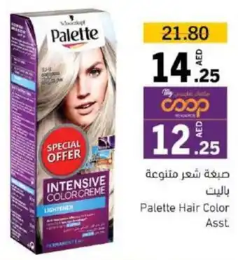 Sharjah Co-op Palette Hair Color Asst. offer