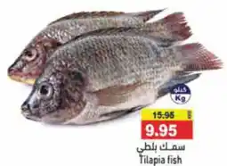 Aswaq Ramez Tilapia fish offer