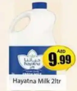 Amber Hayatna Milk 2ltr offer