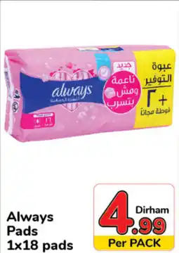 Day To Day Always Pads 1x18 pads offer