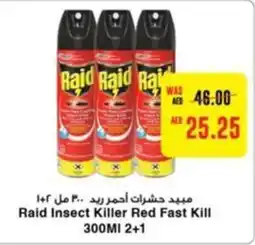 Megamart Raid Insect Killer Red Fast Kill 300MI 2+1 offer