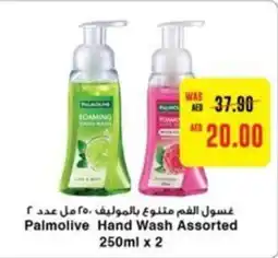 Megamart Palmolive Hand Wash Assorted 250ml x 2 offer