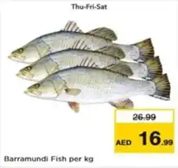Nesto Barramundi Fish per kg offer
