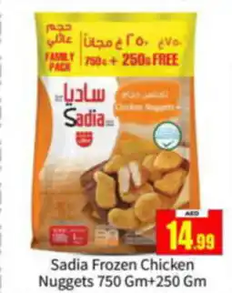 Bigmart Sadia Frozen Chicken Nuggets 750 Gm+250 Gm offer