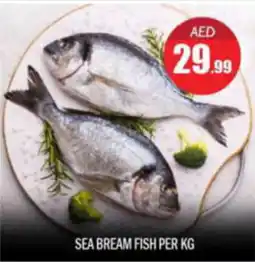 Bigmart SEA BREAM FISH PER KG offer