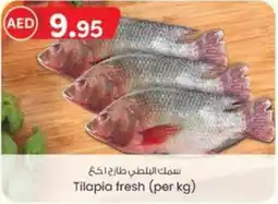 KM Trading Tilapia fresh per kg offer
