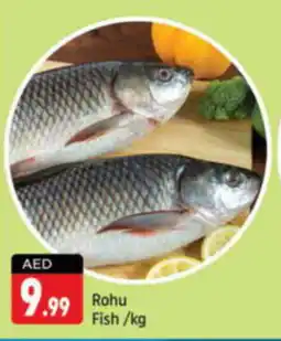 Shaklan Rohu Fish kg offer