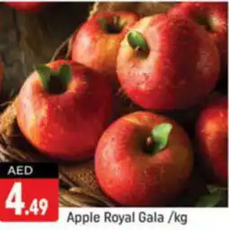 Shaklan Apple Royal Gala kg offer