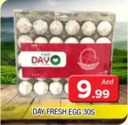 Al Madina DAY FRESH EGG 30S offer