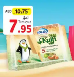 IGLOO Malai Kulfi