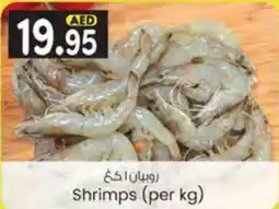 KM Trading Shrimps (per kg) offer