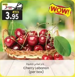 KM Trading Cherry (per box) offer