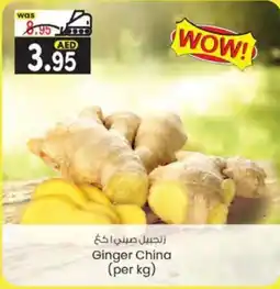 KM Trading Ginger (per kg) offer